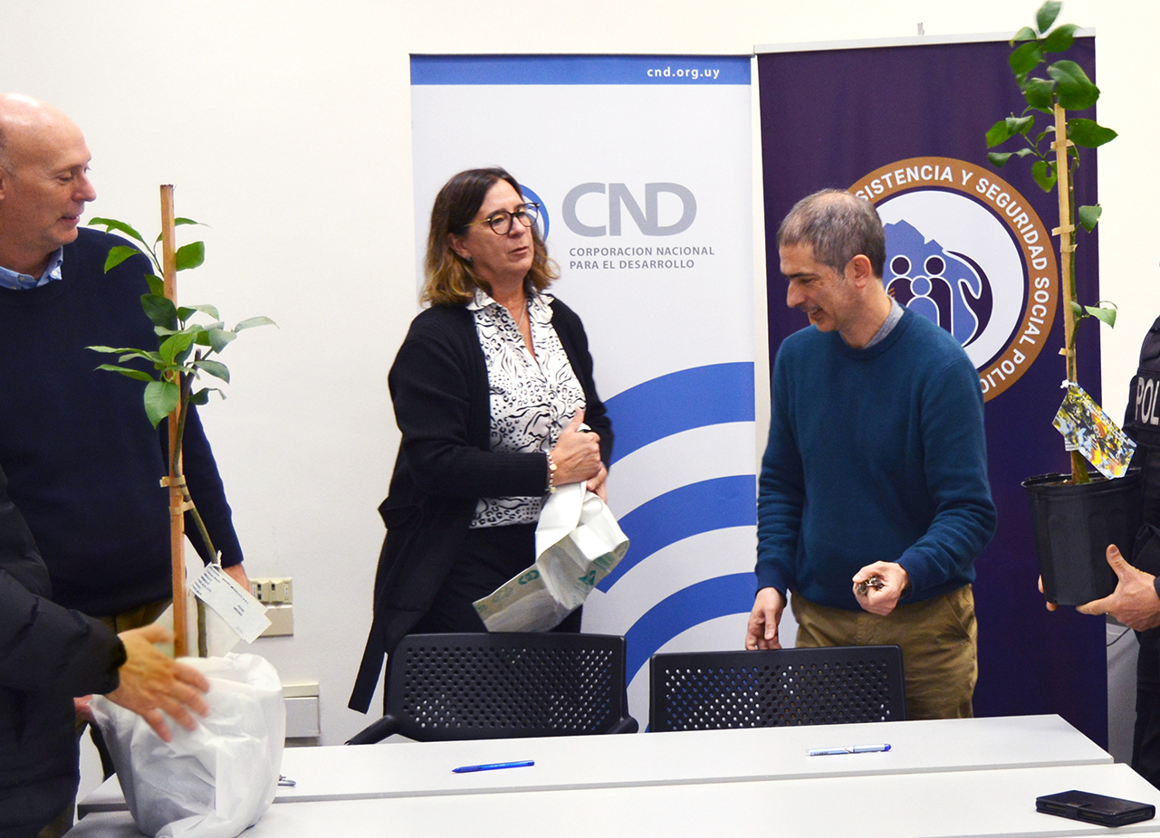 Piacenza, Moratorio y Laureiro