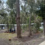 Liceo Nº 2 de Paso Carrasco, proyecto desarrollado para ANEP