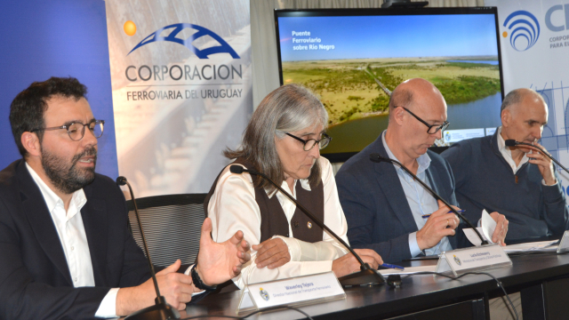Rehabilitación de puente ferroviario sobre el río Negro